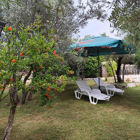Marti'S House In The Olive Grove Appartement Fažana Buitenkant foto