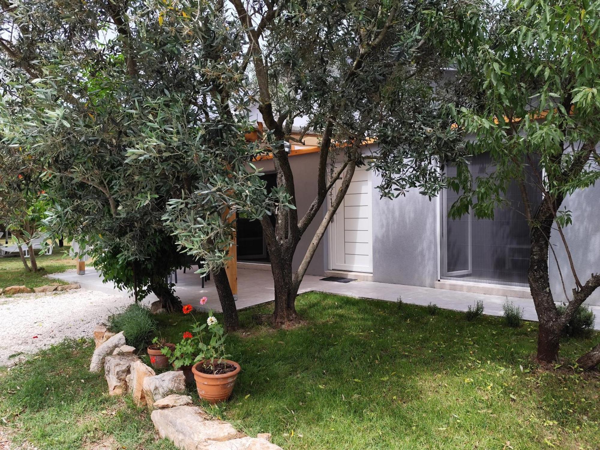 Marti'S House In The Olive Grove Appartement Fažana Buitenkant foto