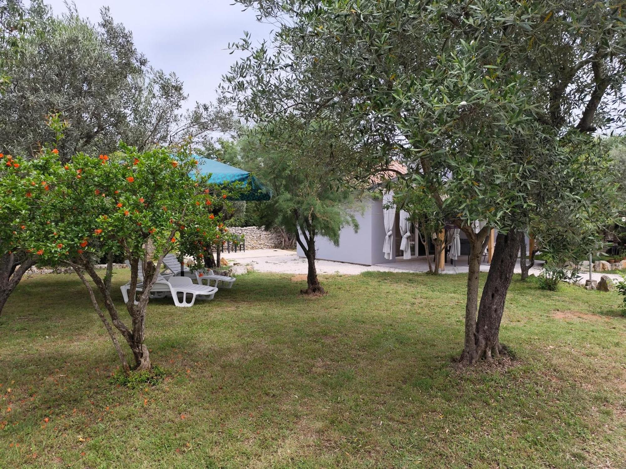 Marti'S House In The Olive Grove Appartement Fažana Buitenkant foto